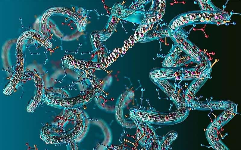 New post-translatio<em></em>nal modification of the glycolytic enzyme enolase